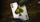 Secret Tale Ragnar White Bee Collector's Playing Cards - image 2
