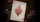 Sembras Playing Cards - image 6