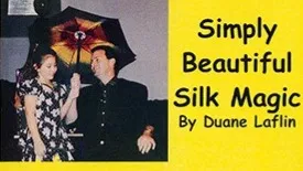 Sensational Silk Magic And Simply Beautiful Silk Magic - image 3