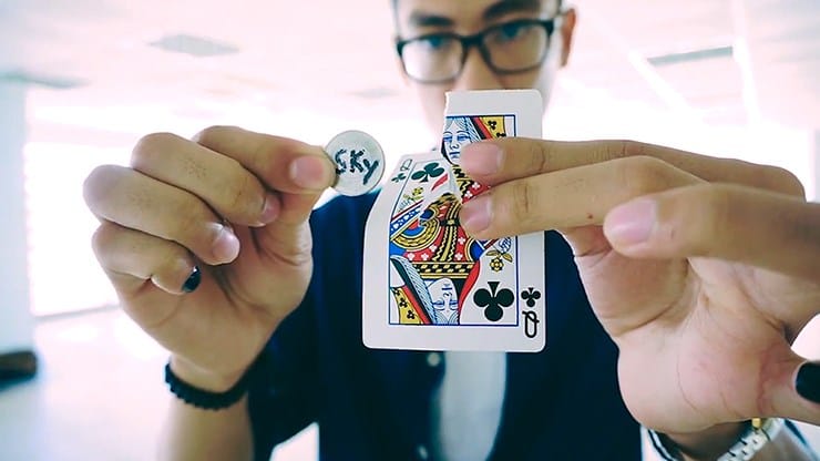 Shy - thumbnail 2
