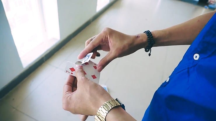 Shy - thumbnail 3