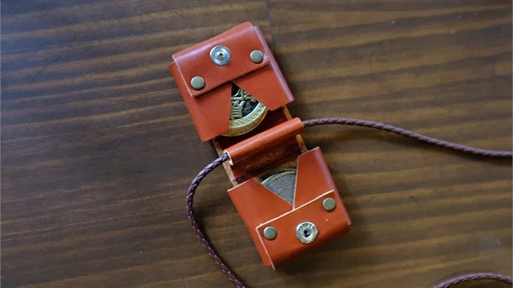 Siamese Case Brown - image 3