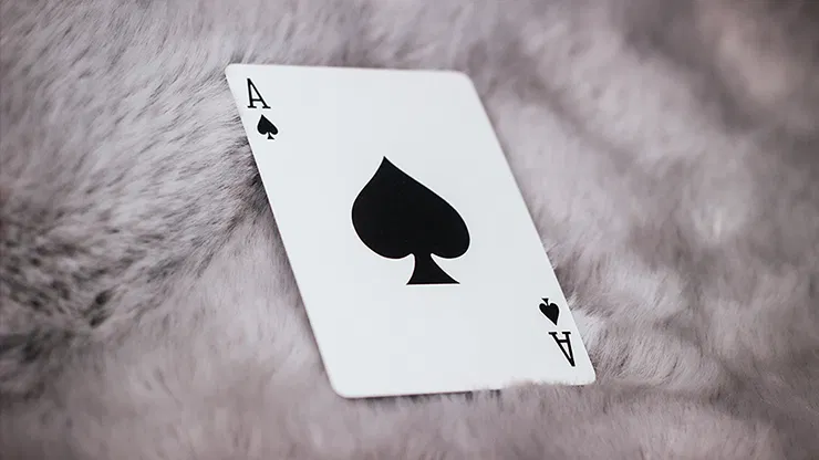 Signature Playing Cards - Second Edition - image 3