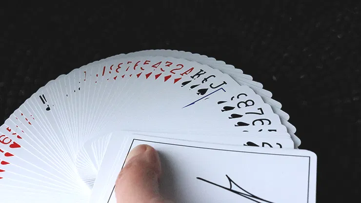 Signature Playing Cards Third Edition - image 4