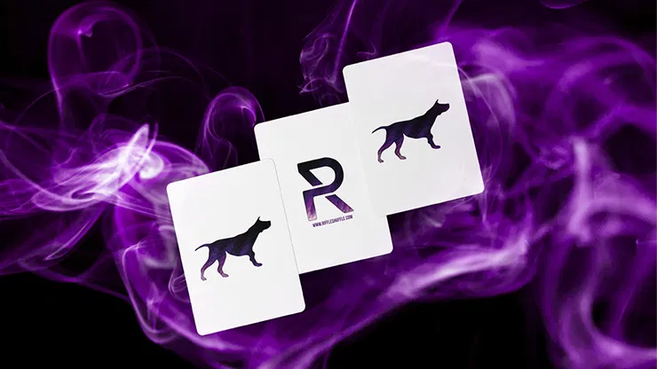 Sirius B V5 Playing Cards - image 5