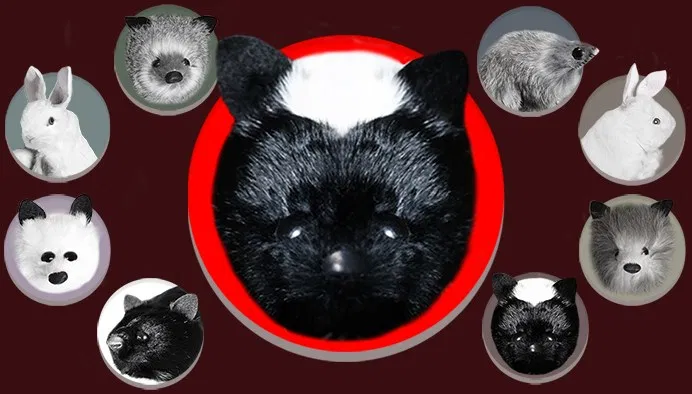 Skunk Spring Animal - image 1