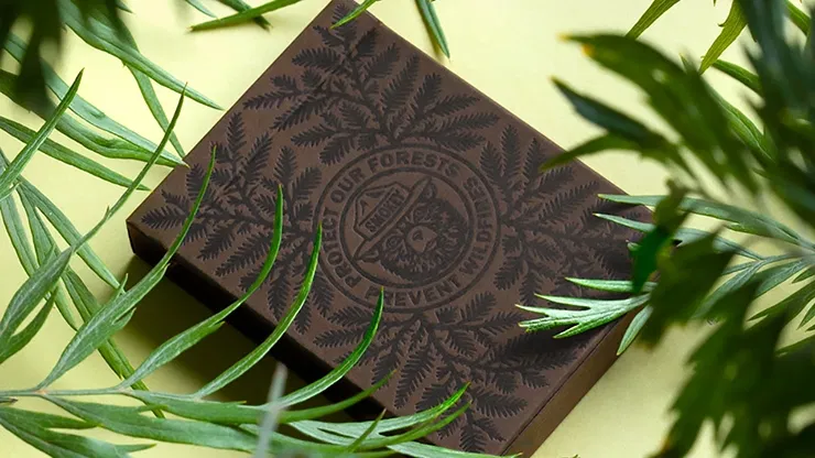 Smokey Bear Limited Edition Playing Cards - image 1