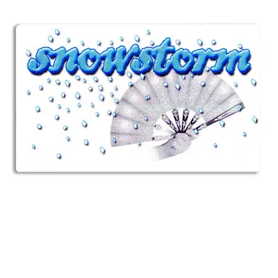 Snowstorm