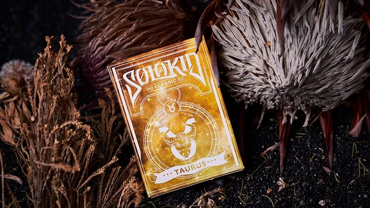 Solokid Constellation Series Playing Cards - image 1