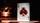Red Soundboards Playing Cards - image 5