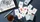 Spark Playing Cards - image 4