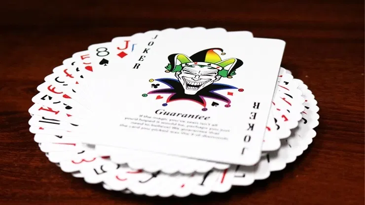 Tally Ho Spectrum Deck - image 2