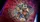 Spider-Man Jigsaw Puzzle - image 3