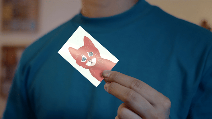 SPIX - thumbnail 3