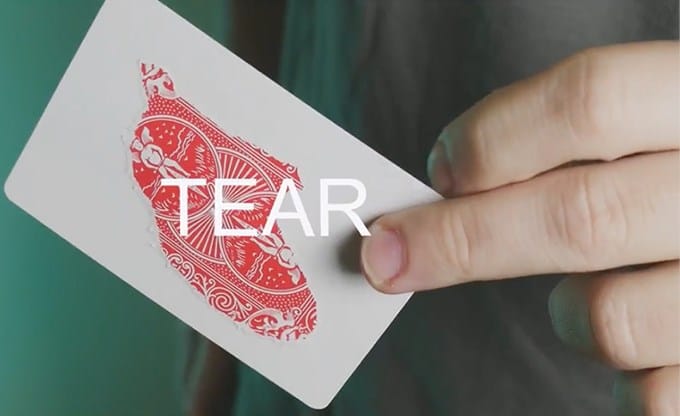 Split Cards 15 ct. - thumbnail 2