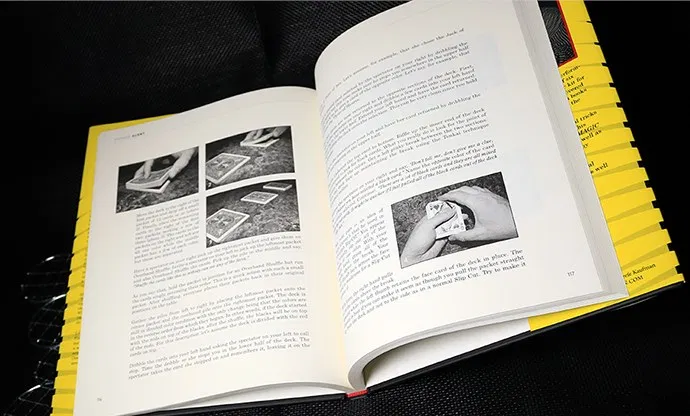 Spoiler Alert - image 5