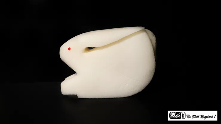 Sponge Ball to Rabbit