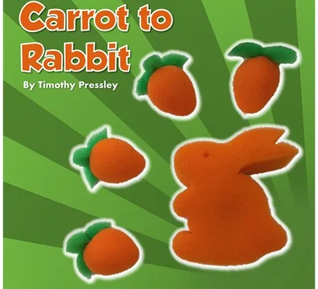 Sponge Carrot to Rabbit