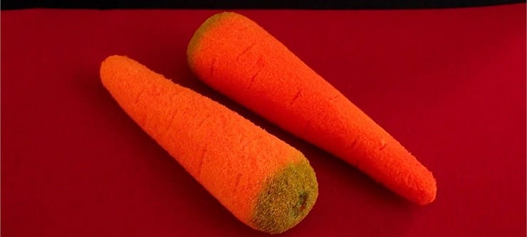 Sponge Carrots (2 pieces)
