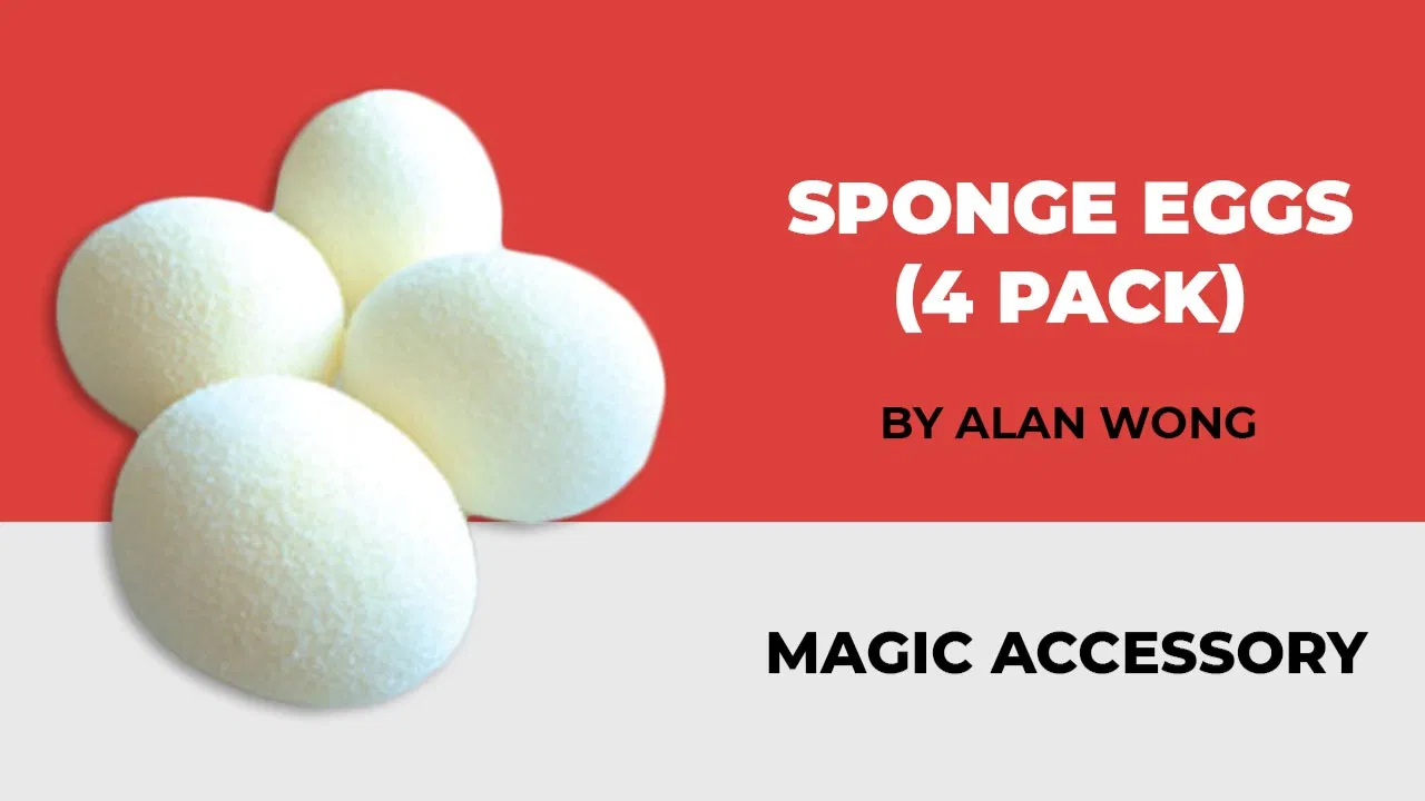 Sponge Eggs (4 pack) - image 1