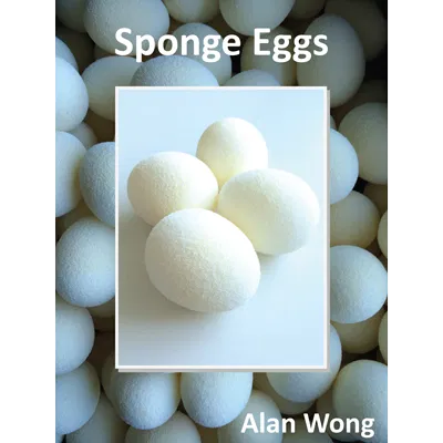 Sponge Eggs (4 pack)