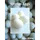 Sponge Eggs (4 pack)