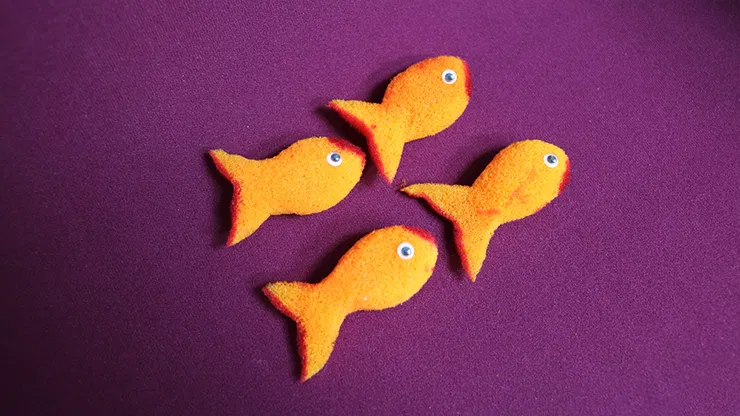 SPONGE GOLDFISH - image 2