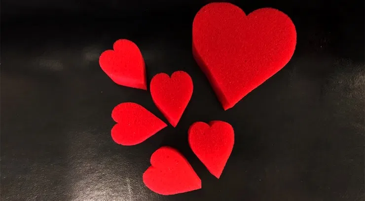 Sponge Heart Set - image 2