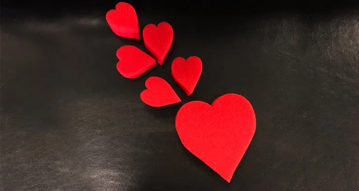 Sponge Heart Set - image 1
