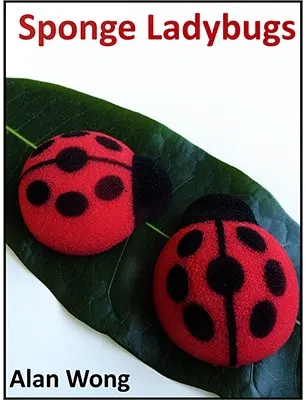 Sponge Lady Bugs