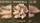 Spring Bills (Multiple Currencies Available) - image 2