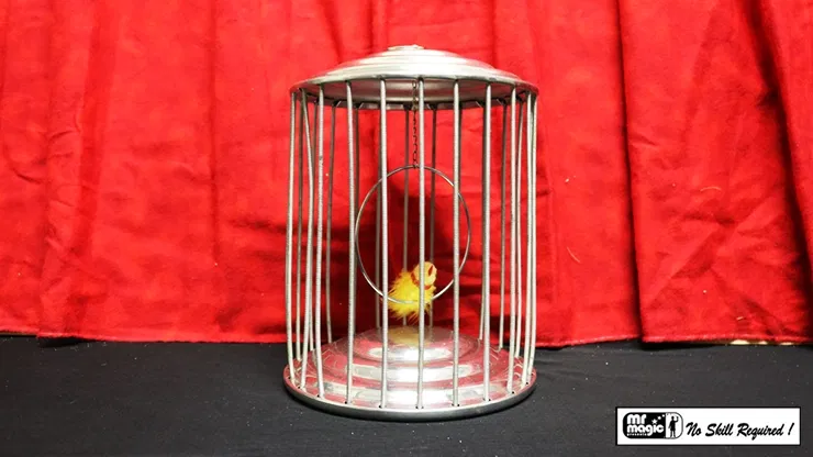 Spring Production Birdcage