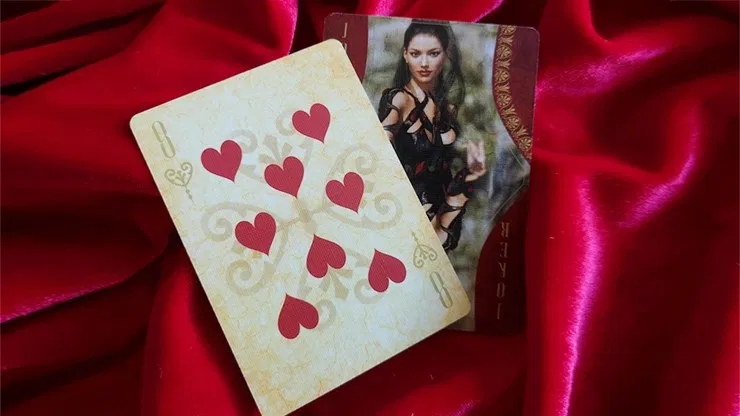 Stanbur Royal Playing Cards - Black Seal Edition - image 10