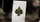 Star Wars Gold Edition Playing Cards - image 4