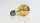 Replacement Bulb for Connexion - image 1