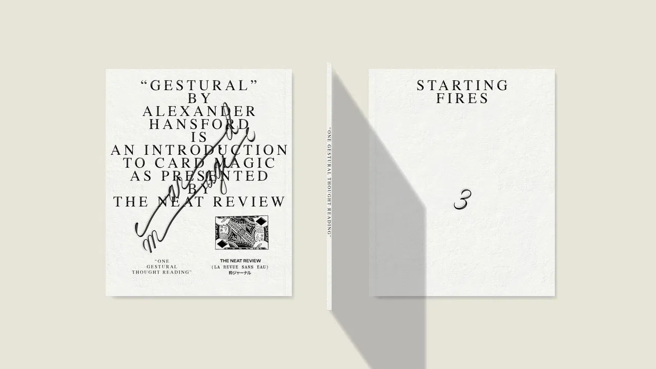Starting Fires 3: Gestural - image 6