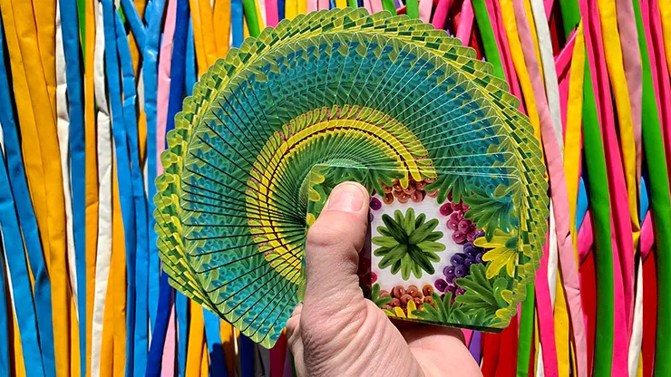 Bicycle Balloon Jungle Playing Cards - Stripper Deck - image 2