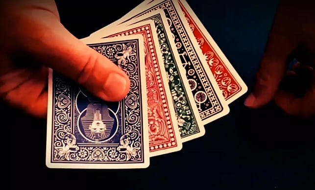 STUNNER - thumbnail 2