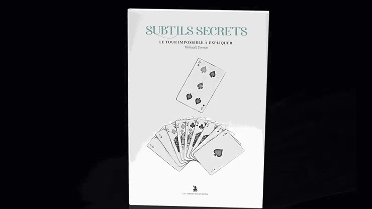 Subtle Secrets 2 - image 1