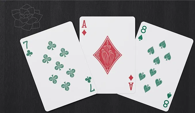 Succulents Playing Cards - image 5