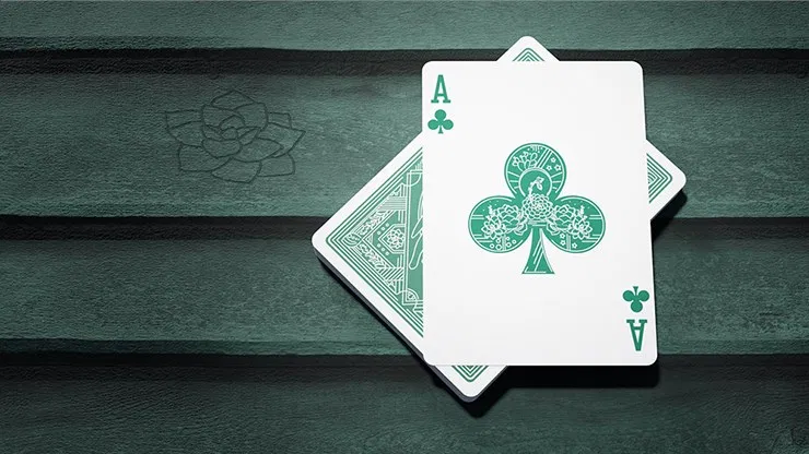 Succulents Playing Cards - image 6
