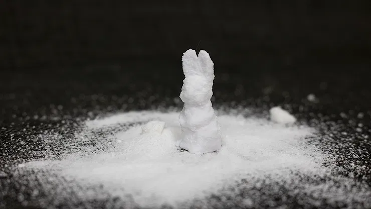 Sugar Bunny - image 1