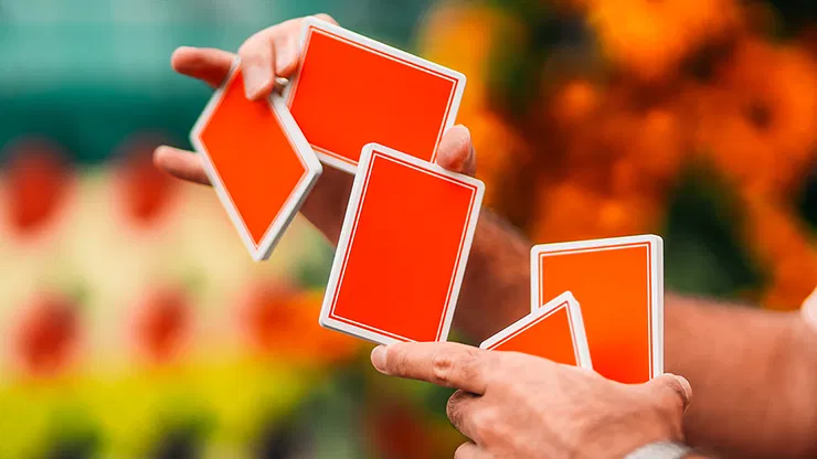 Summer NOC Pro Playing Cards - image 5