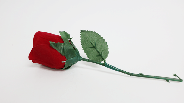 Super Visual Silk To Rose - thumbnail 2