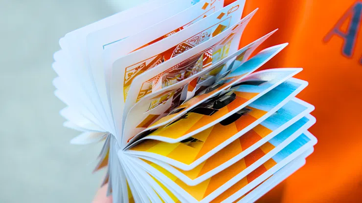 Suzy Accordion Cards - image 3