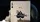 SVNGALI 06 Skull and Dagger Playing Cards - image 5