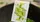 Sweet Peas Playing Cards - image 4