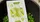 Sweet Peas Playing Cards - image 5