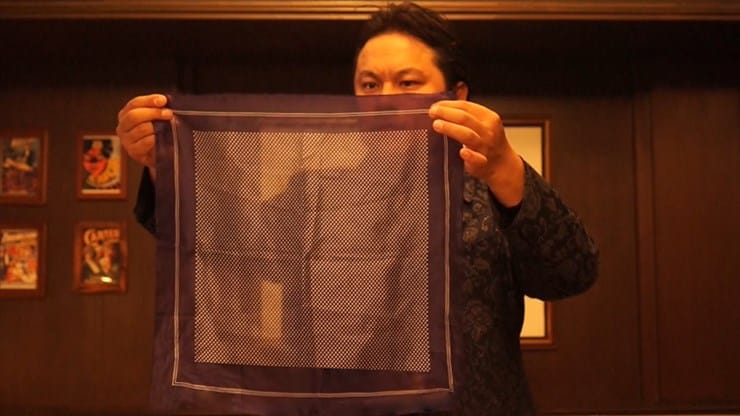 18in Syouma Silk - thumbnail 2
