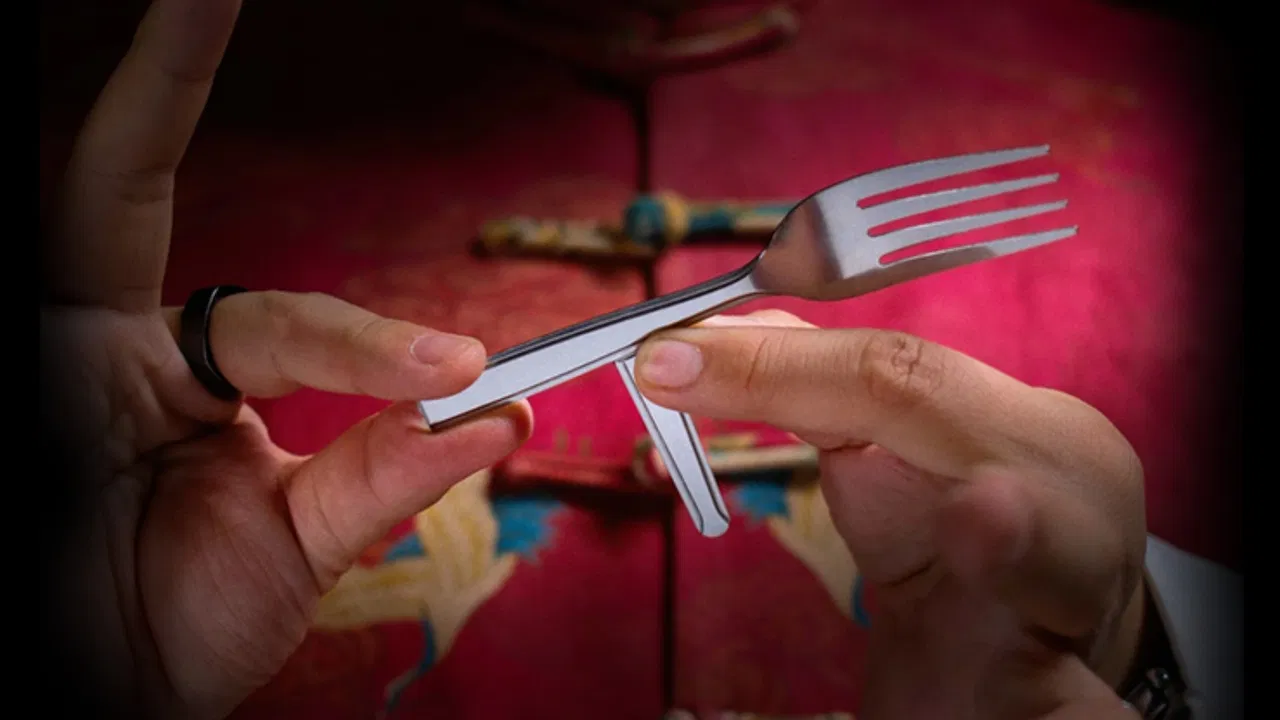 T-Fork - image 2